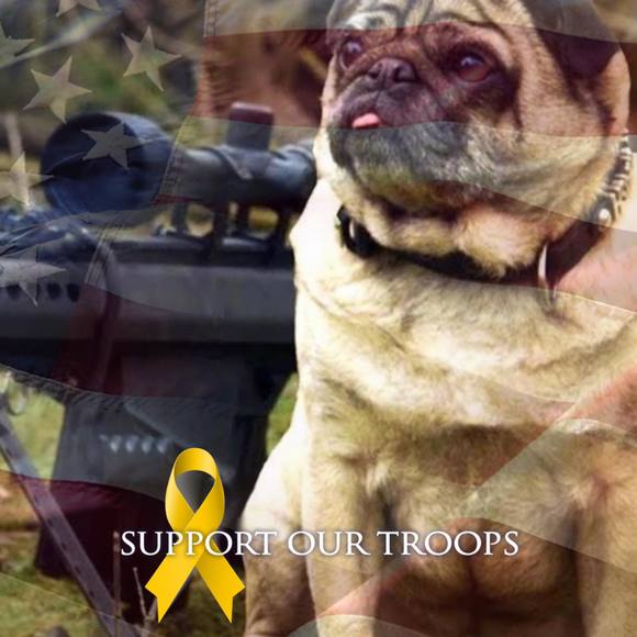 Meet your Posher, James - Picture 1 of 1